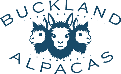 Take That Booking Logo